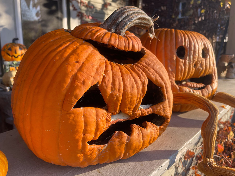 Rotting jack-o'lanterns